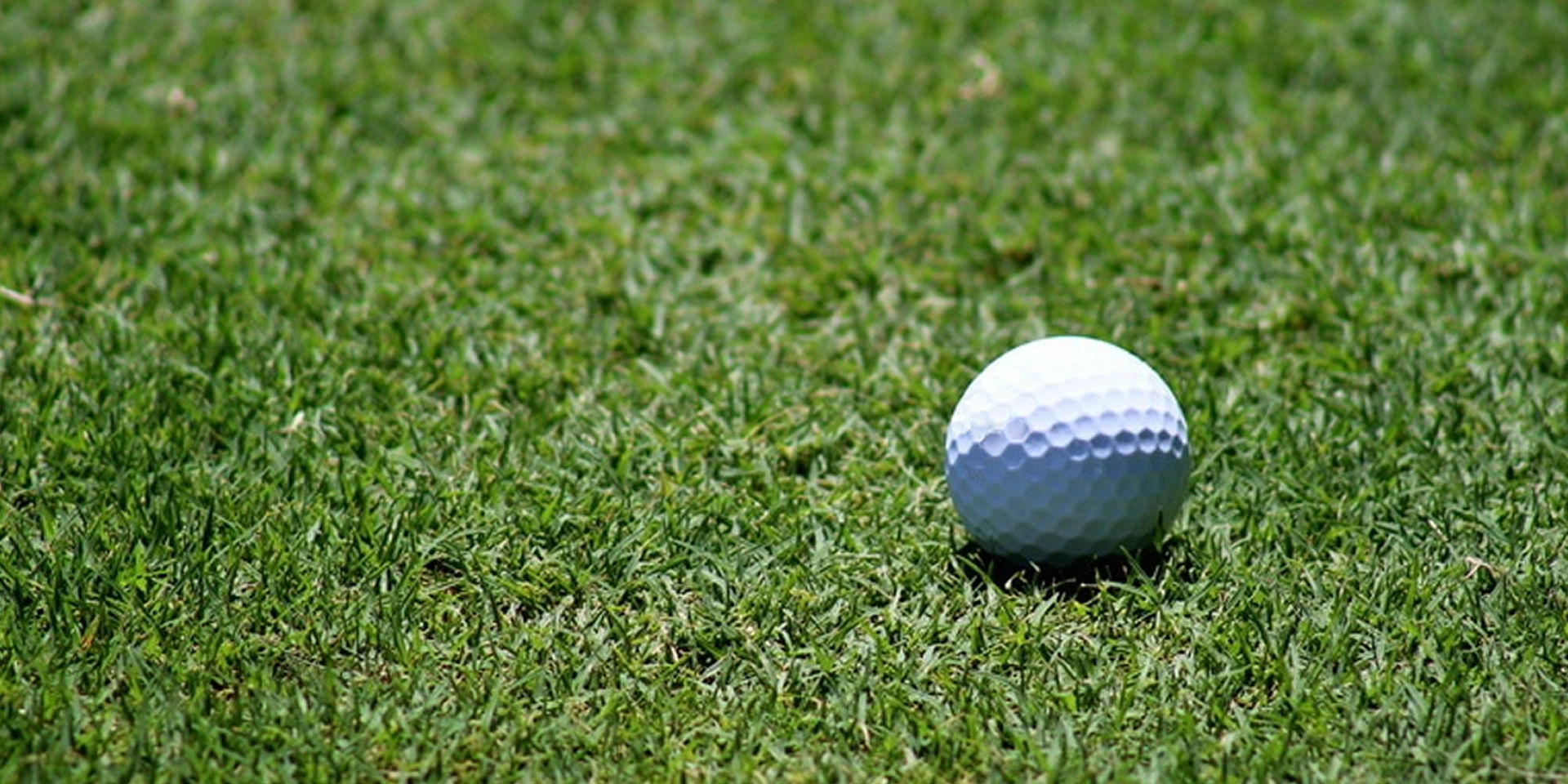 Golf Courses