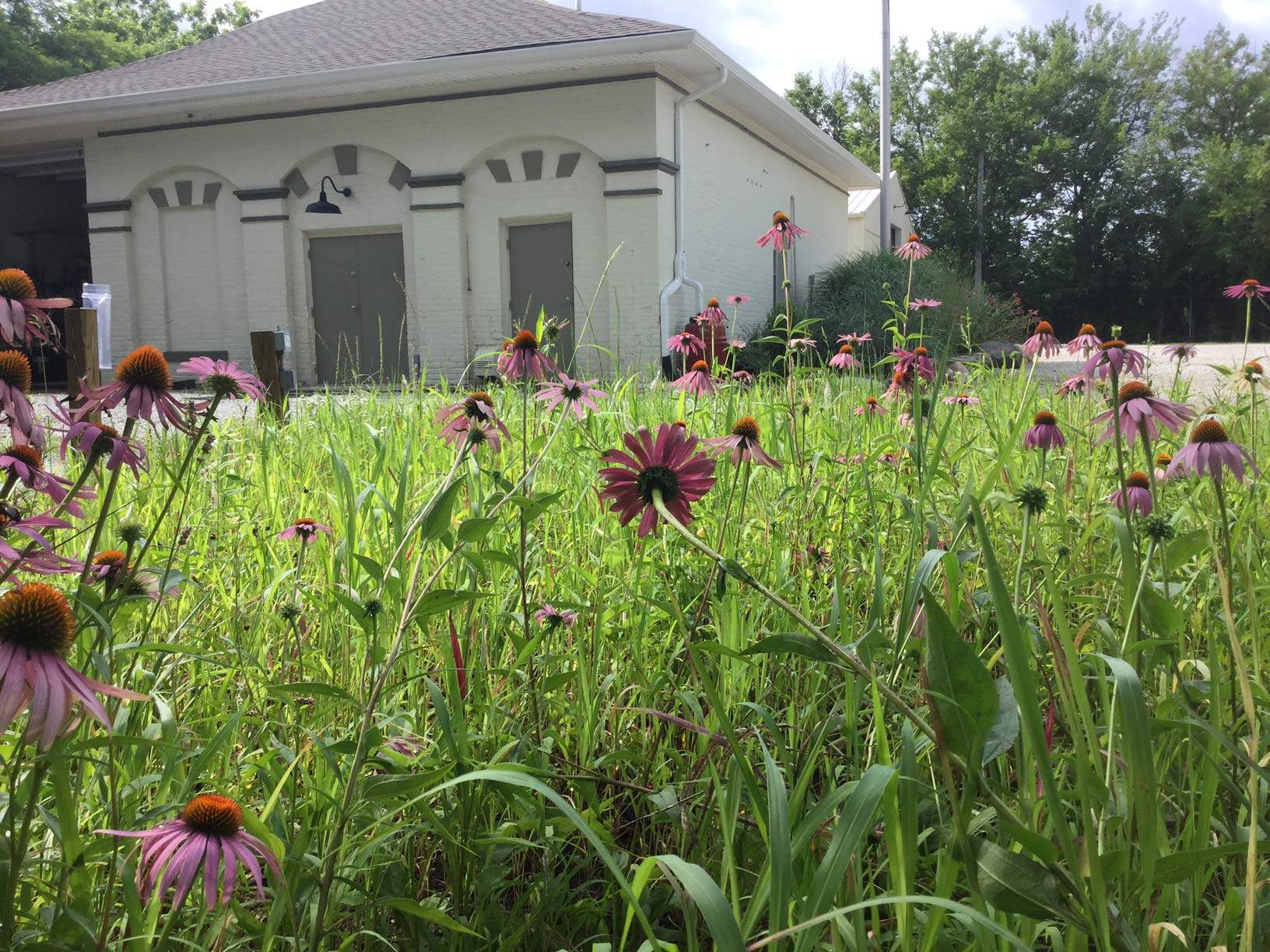 Stormwater Nature Center