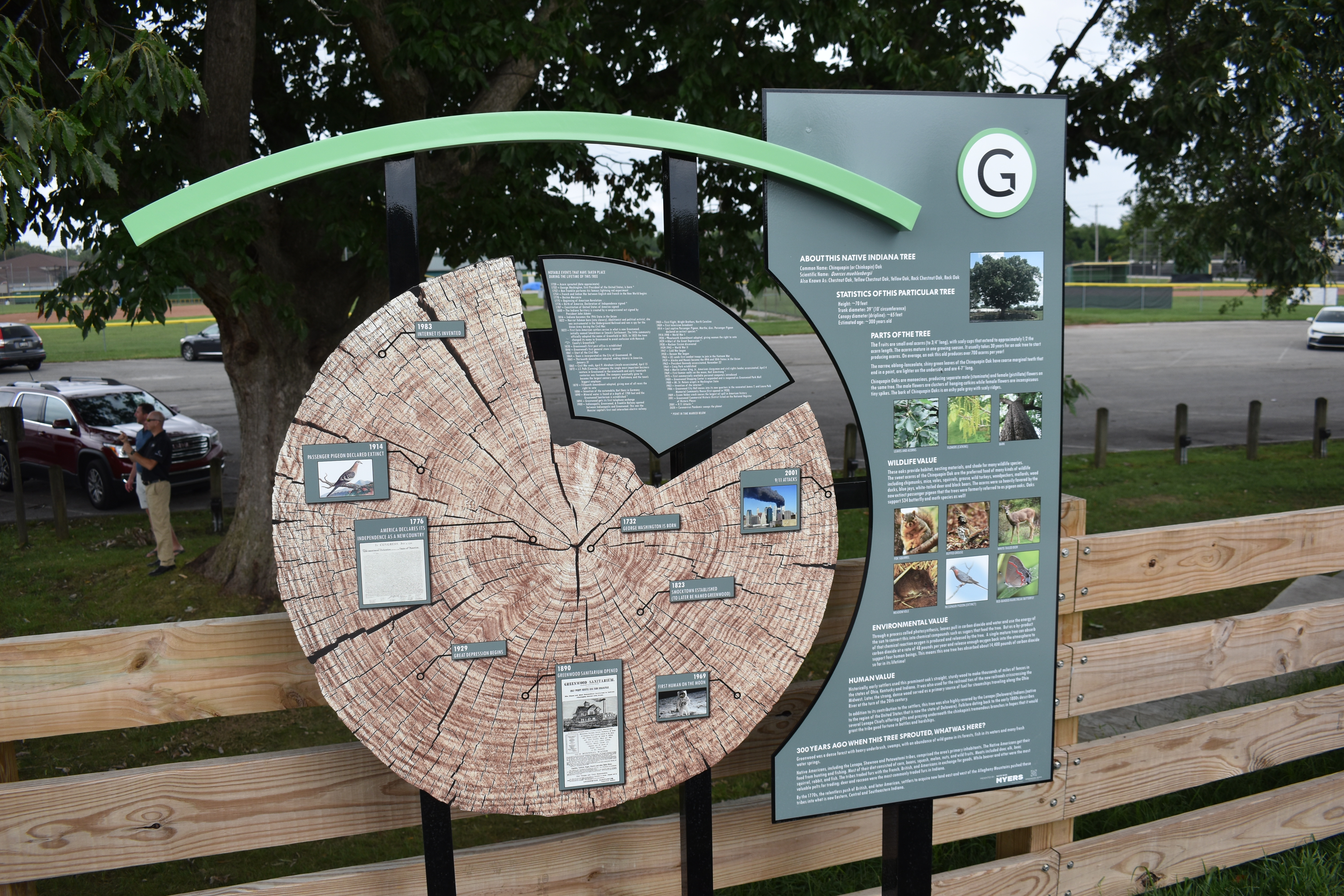 Oak Tree Sign